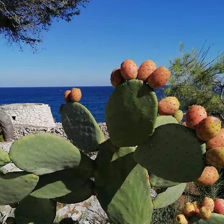 Marina Marittima