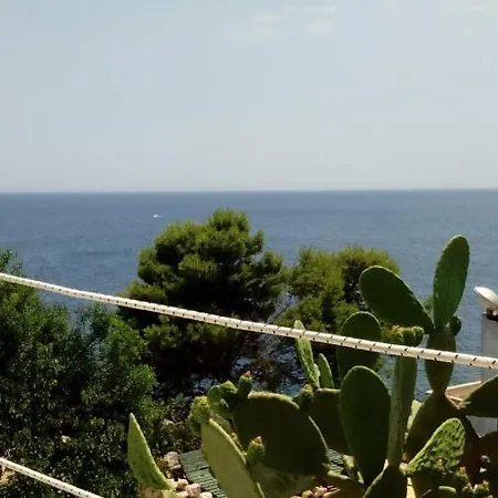 Marina Marittima