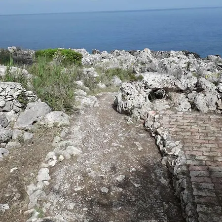 Marina * Marittima